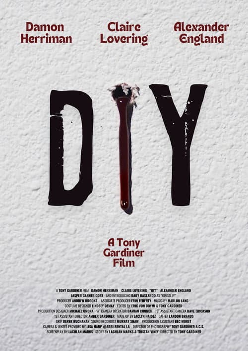 Постер: DIY