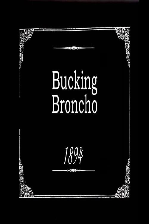 Постер: Bucking Broncho