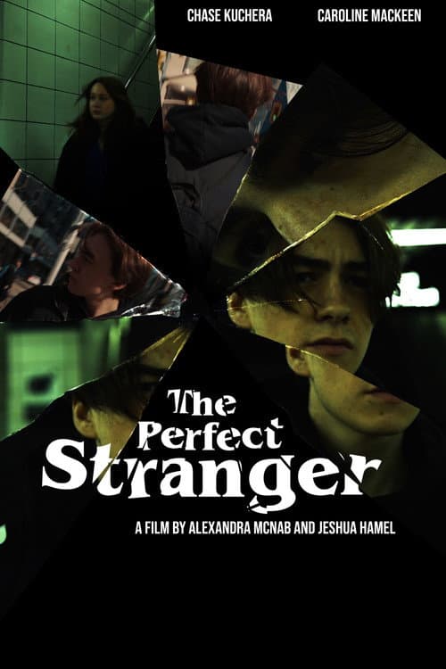 Постер: The Perfect Stranger