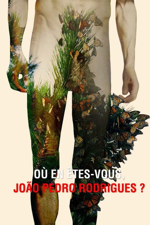 Постер: Où en êtes-vous, João Pedro Rodrigues ?