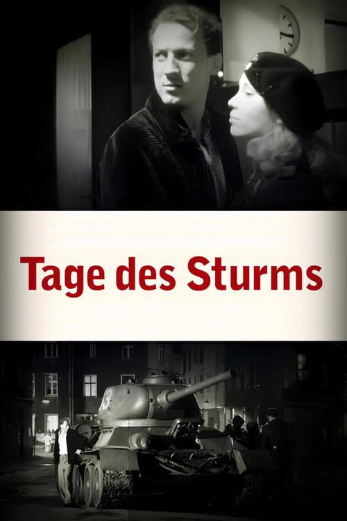 Постер: Tage des Sturms