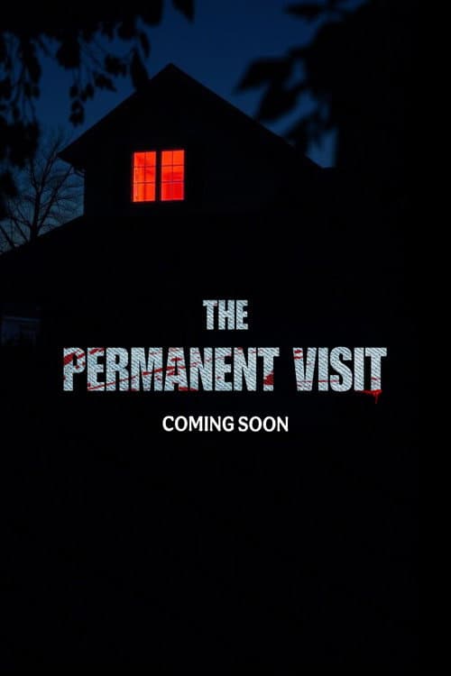 Постер: The permanent Visit