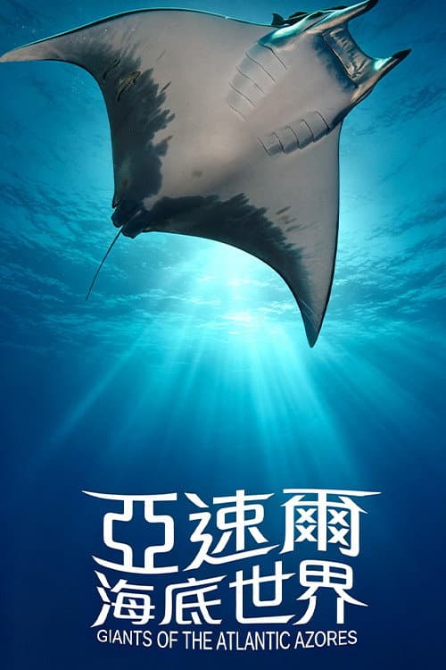 Постер: 亚速尔海底世界