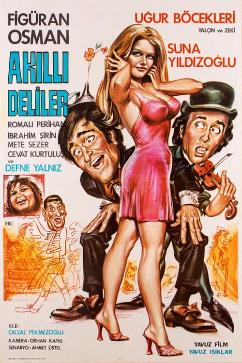 Постер: Akıllı Deliler