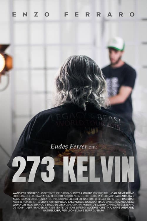 Постер: 273 KELVIN