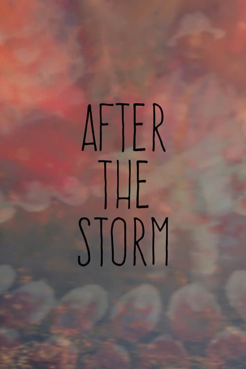 Постер: After the Storm
