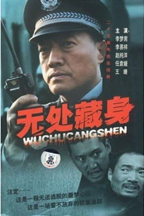 Постер: 无处藏身