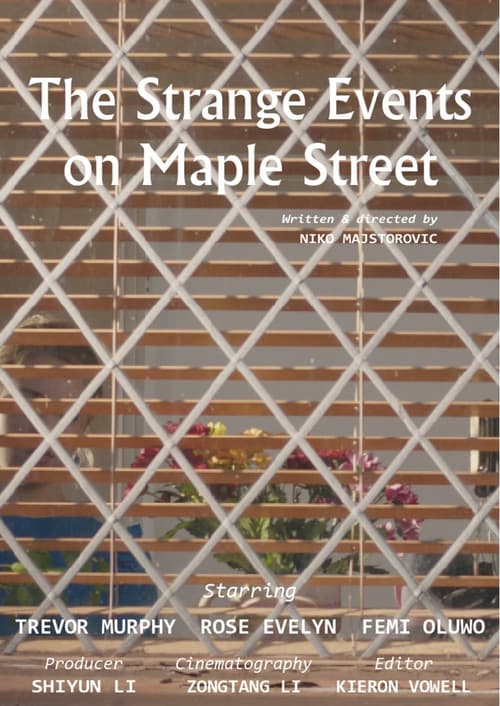 Постер: The Strange Events on Maple Street