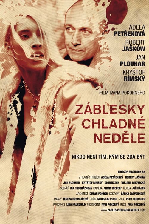 Постер: Záblesky chladné neděle