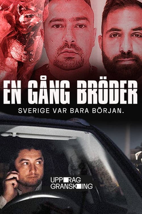 Постер: Uppdrag granskning: En gång bröder