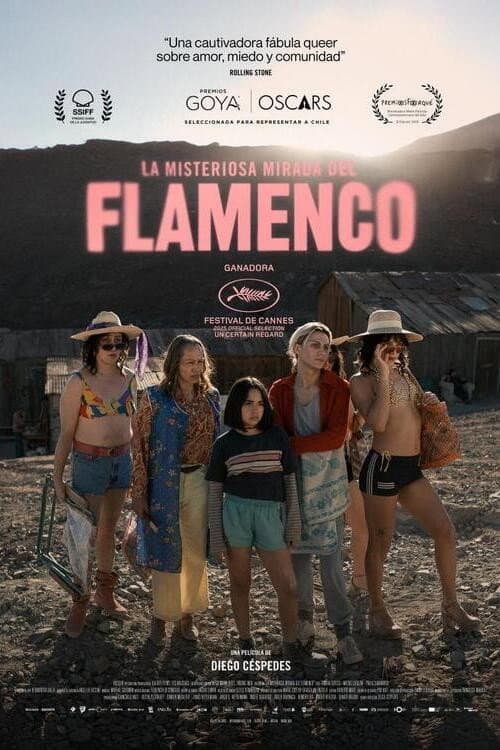 Постер: La misteriosa mirada del flamenco