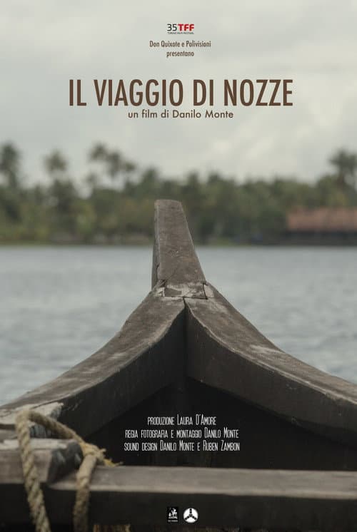 Постер: Il viaggio di nozze