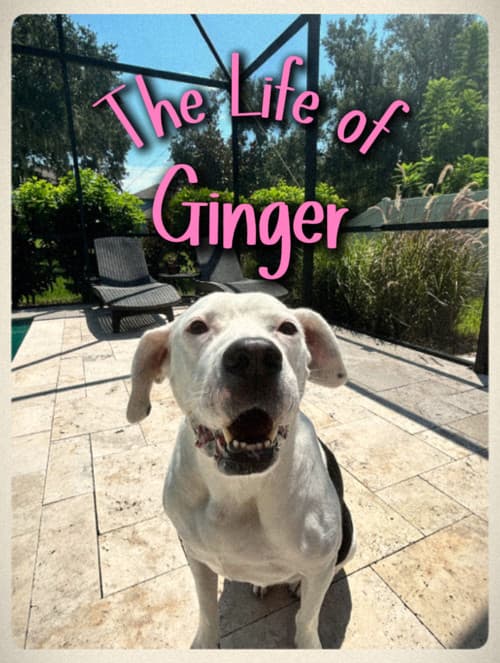 Постер: The Life of Ginger