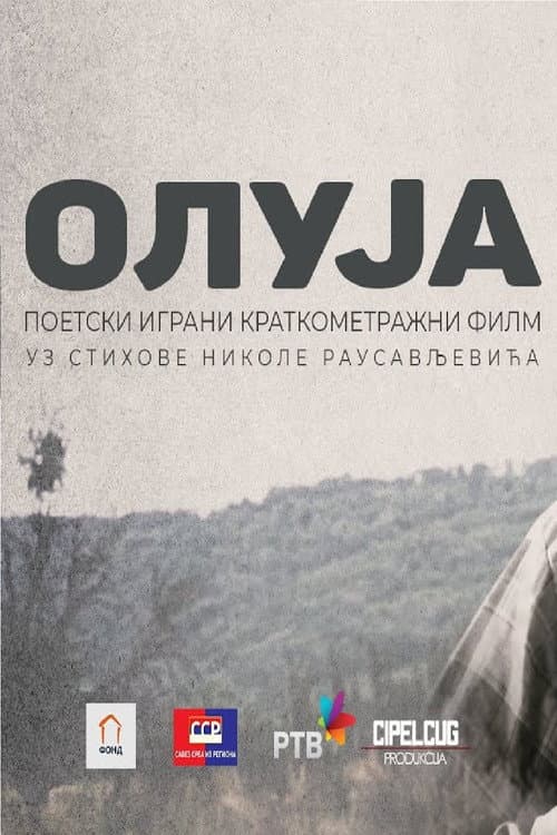 Постер: Oluja