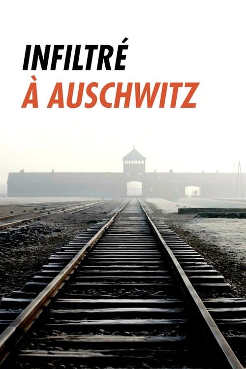 Постер: Infiltré à Auschwitz