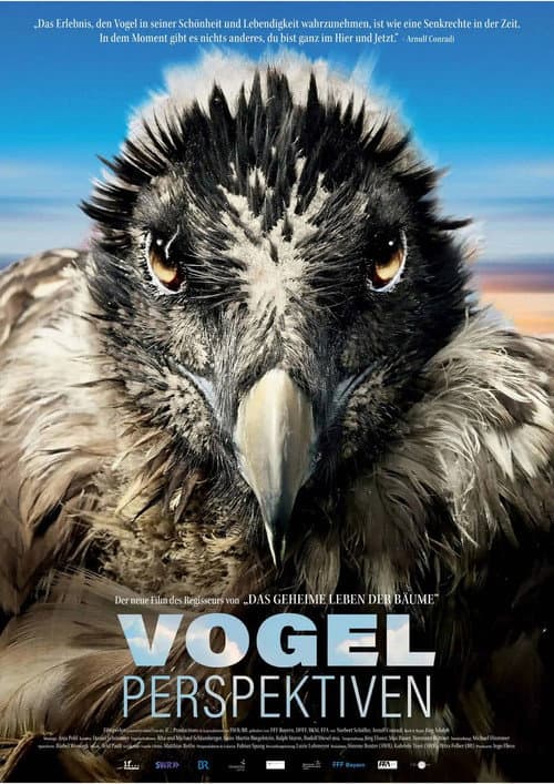 Постер: Vogelperspektiven