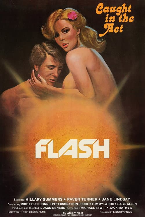 Постер: Flash