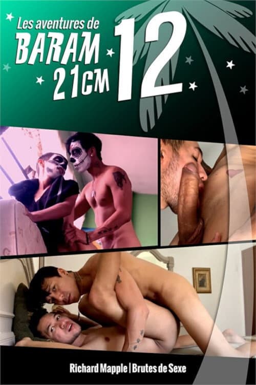 Постер: Les Aventures de Baram 21CM 12
