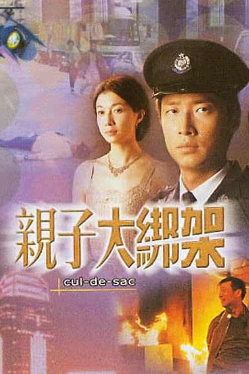 Постер: 親子大綁架
