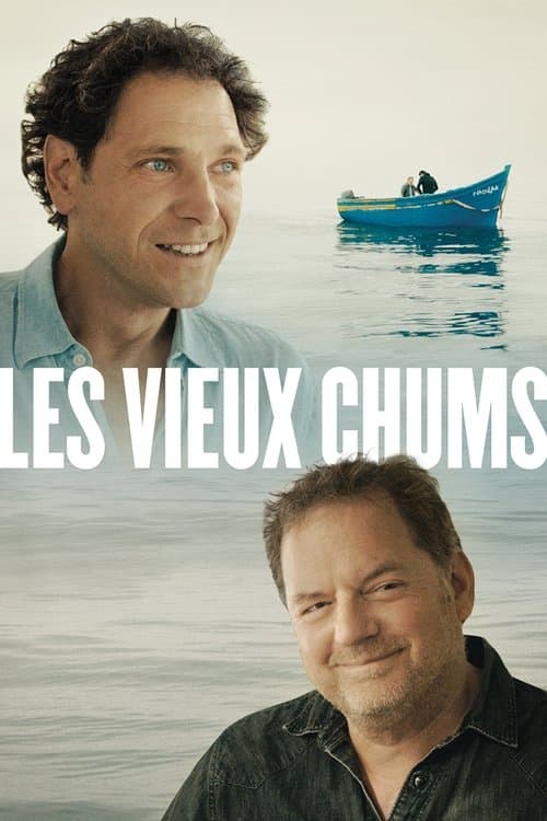 Постер: Les vieux chums