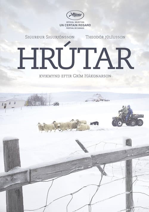 Постер: Бараны