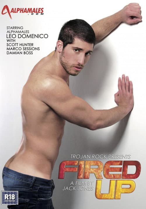 Постер: Fired Up