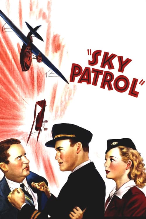 Постер: Sky Patrol