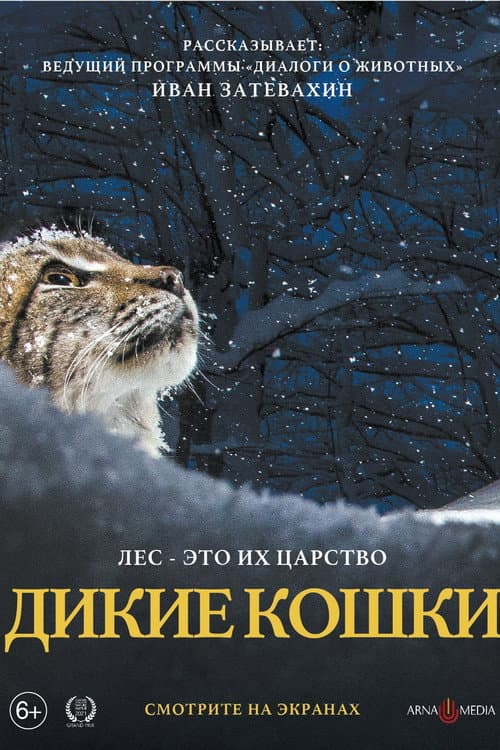 Постер 3