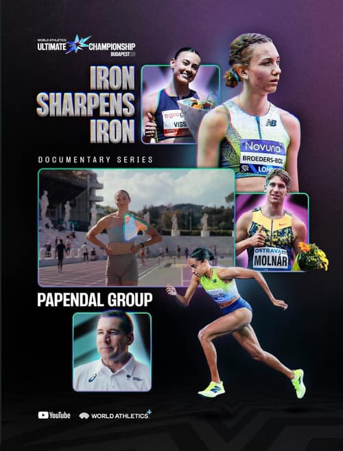 Постер: Iron Sharpens Iron: Papendal Training Group Documentary