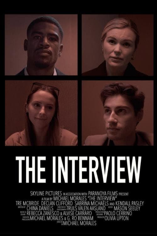 Постер: The Interview