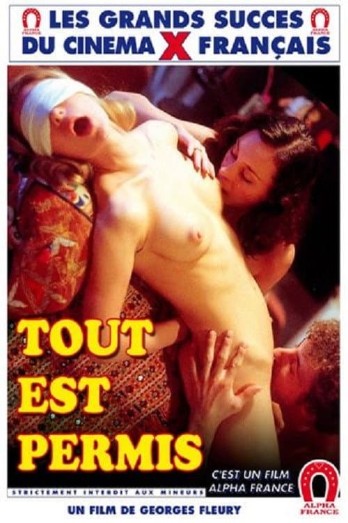 Постер: Tout est permis