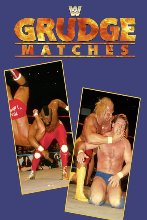 Постер: WWE Grudge Match