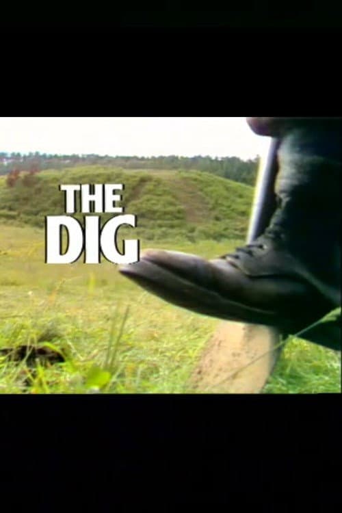 Постер: The Dig