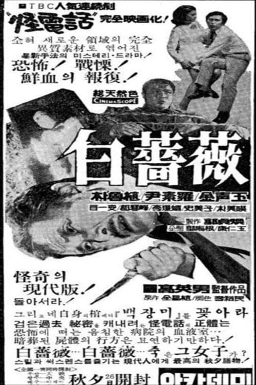 Постер: 백장미