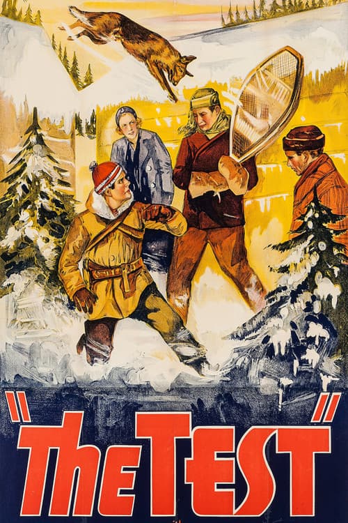 Постер: The Test