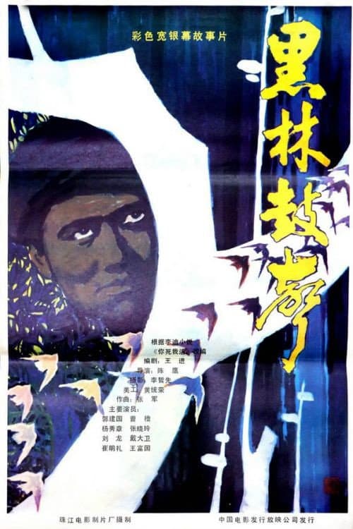 Постер: 黑林鼓声