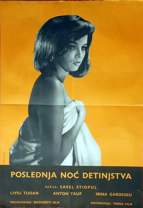 Постер: Ultima noapte a copilăriei