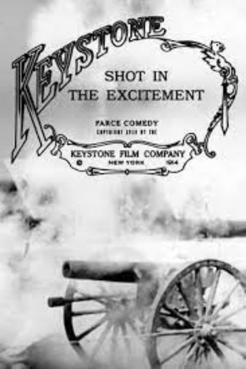 Постер: Shot in the Excitement