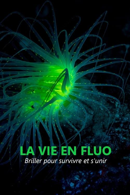 Постер: La vie en fluo