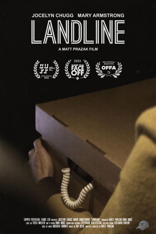 Постер: Landline