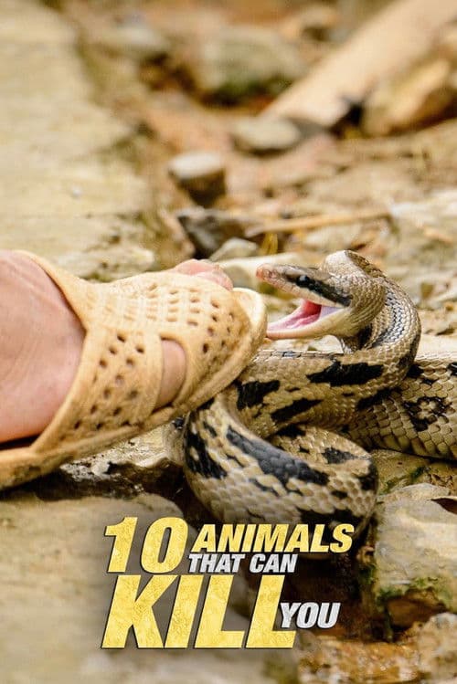Постер: 10 Animals That Will Kill You