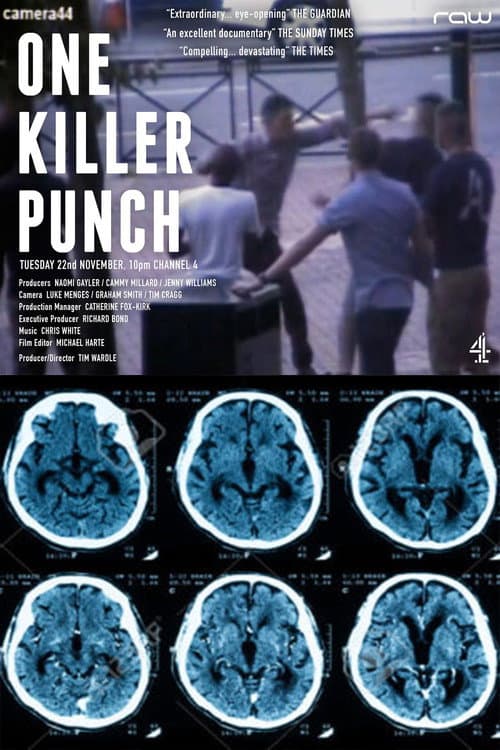Постер: One Killer Punch