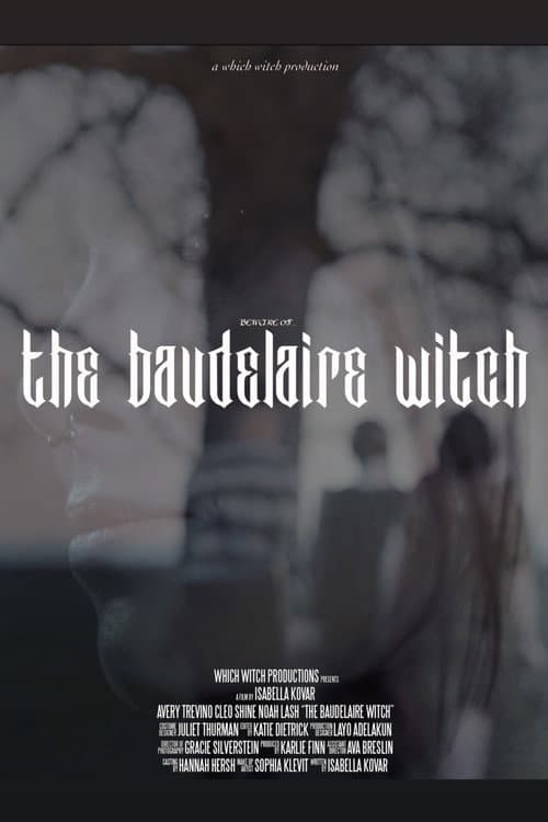 Постер: The Baudelaire Witch