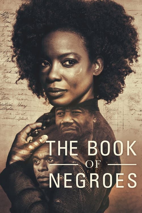 Постер: The Book of Negroes