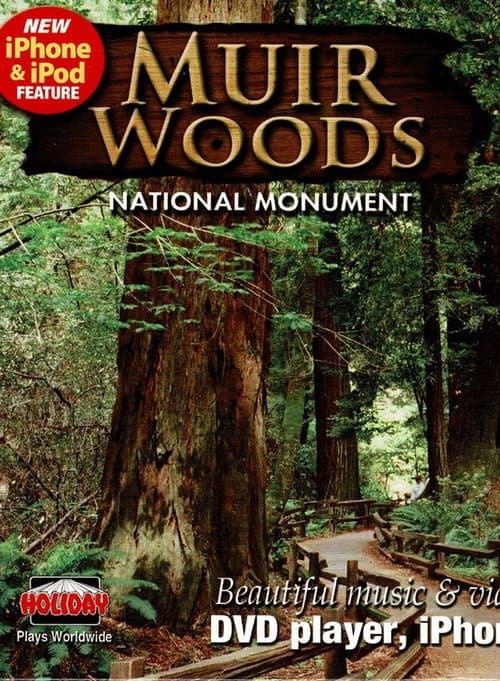 Постер: Muir Woods