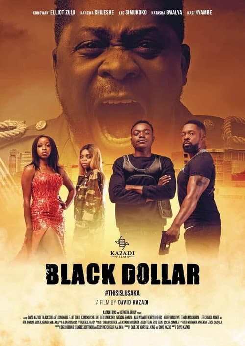Постер: Black Dollar