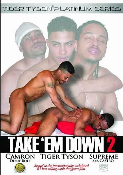 Постер: Take 'Em Down 2