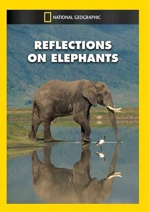 Постер: Reflections on Elephants