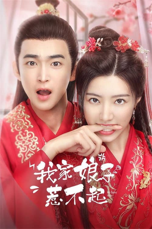Постер: 我家娘子惹不起