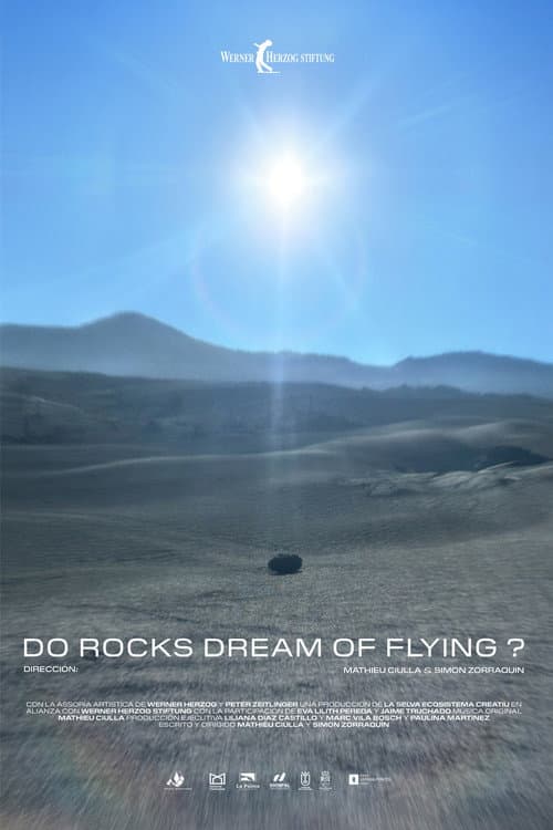 Постер: Do Rocks Dream of Flying ?